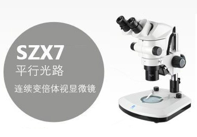 體視顯微鏡